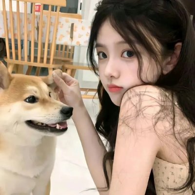 纸房子：全球热潮